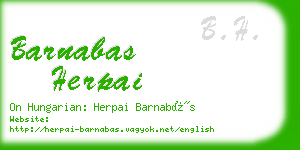 barnabas herpai business card